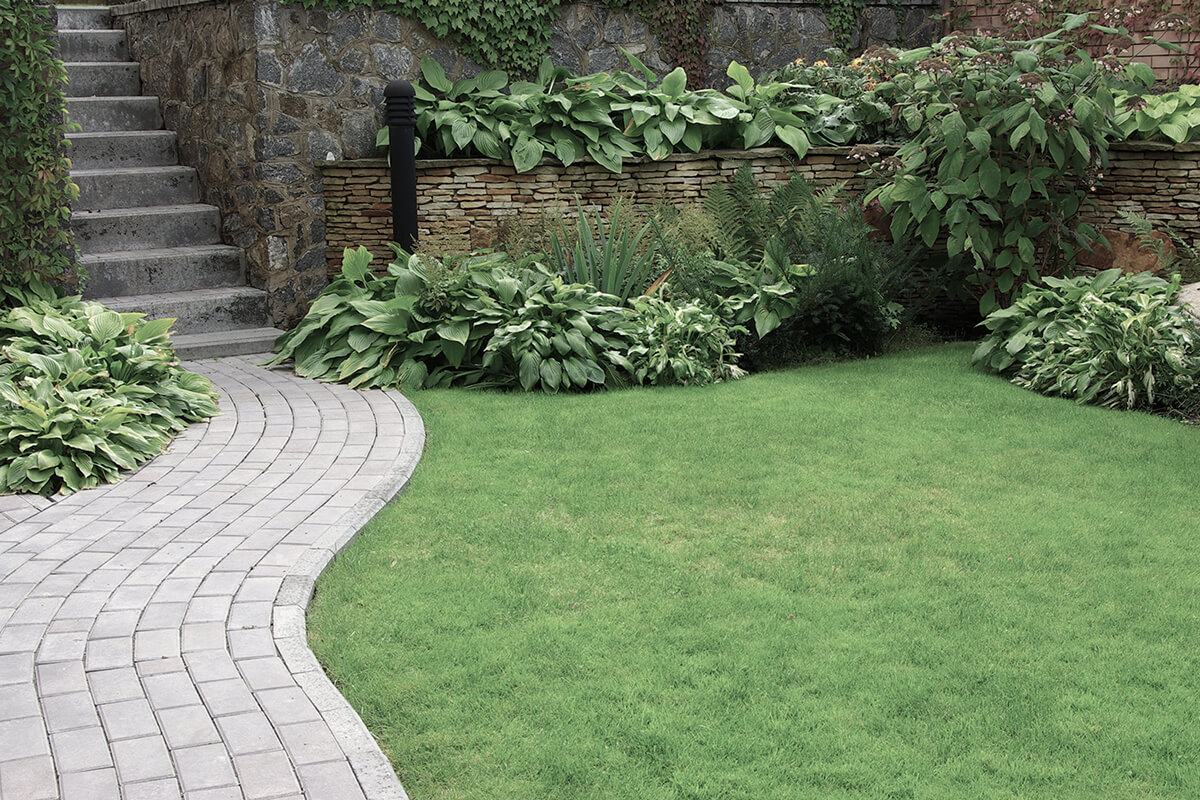 Welcome to RJC Landscaping